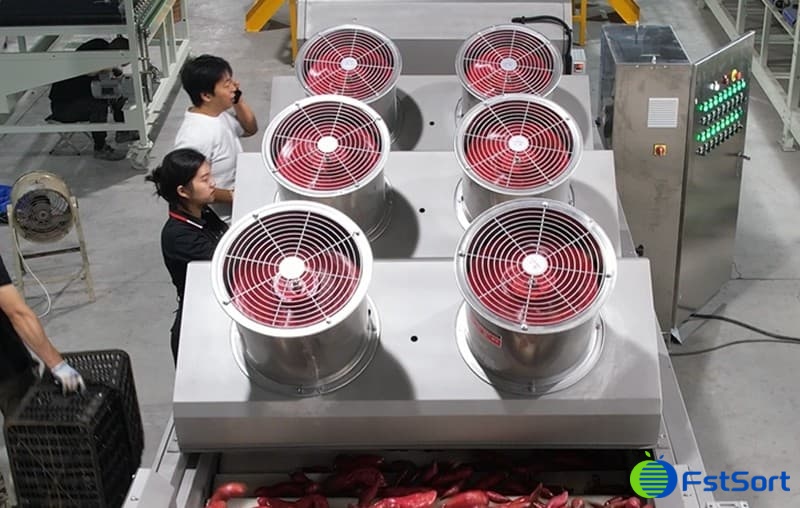 images/1686912310094sweet potato washing dryin g sorting line.jpg